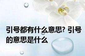 引号都有什么意思? 引号的意思是什么