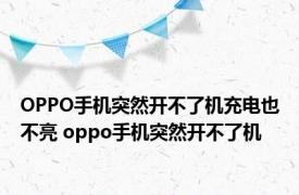 OPPO手机突然开不了机充电也不亮 oppo手机突然开不了机 