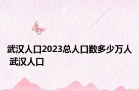 武汉人口2023总人口数多少万人 武汉人口 