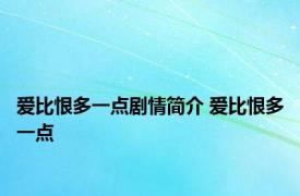 爱比恨多一点剧情简介 爱比恨多一点 