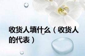 收货人填什么（收货人的代表）