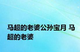 马超的老婆公孙宝月 马超的老婆 