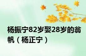 杨振宁82岁娶28岁的翁帆（杨正宁）