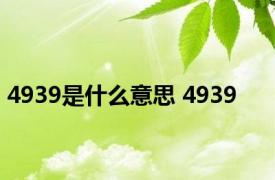 4939是什么意思 4939 