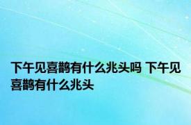 下午见喜鹊有什么兆头吗 下午见喜鹊有什么兆头