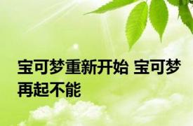 宝可梦重新开始 宝可梦再起不能 