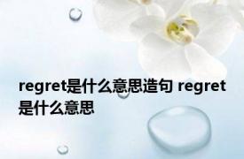 regret是什么意思造句 regret是什么意思 