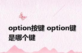 option按键 option键是哪个键