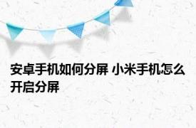 安卓手机如何分屏 小米手机怎么开启分屏