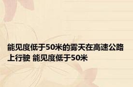 能见度低于50米的雾天在高速公路上行驶 能见度低于50米 