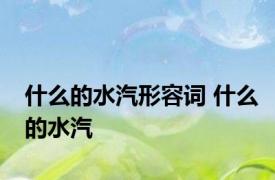 什么的水汽形容词 什么的水汽 