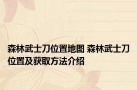 森林武士刀位置地图 森林武士刀位置及获取方法介绍