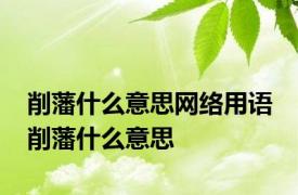 削藩什么意思网络用语 削藩什么意思