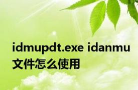 idmupdt.exe idanmu文件怎么使用