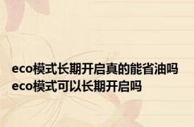 eco模式长期开启真的能省油吗 eco模式可以长期开启吗