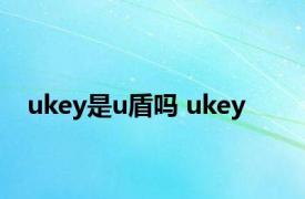 ukey是u盾吗 ukey 