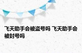 飞天助手会被盗号吗 飞天助手会被封号吗 