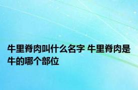 牛里脊肉叫什么名字 牛里脊肉是牛的哪个部位