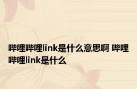 哔哩哔哩link是什么意思啊 哔哩哔哩link是什么