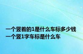 一个竖着的1是什么车标多少钱 一个竖1字车标是什么车 