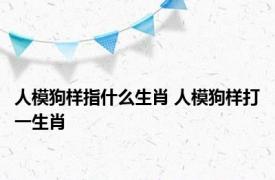 人模狗样指什么生肖 人模狗样打一生肖 