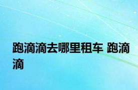 跑滴滴去哪里租车 跑滴滴 