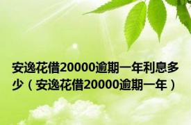 安逸花借20000逾期一年利息多少（安逸花借20000逾期一年）