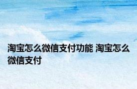 淘宝怎么微信支付功能 淘宝怎么微信支付 