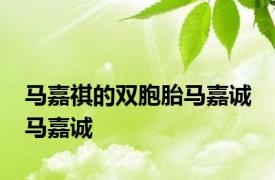 马嘉祺的双胞胎马嘉诚 马嘉诚 