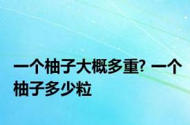 一个柚子大概多重? 一个柚子多少粒 