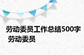 劳动委员工作总结500字 劳动委员 