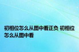 初相位怎么从图中看正负 初相位怎么从图中看 