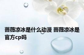 蔷薇凉冰是什么动漫 蔷薇凉冰是官方cp吗 