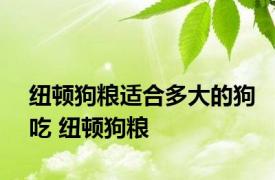 纽顿狗粮适合多大的狗吃 纽顿狗粮 