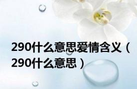 290什么意思爱情含义（290什么意思）