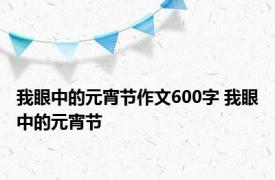 我眼中的元宵节作文600字 我眼中的元宵节 