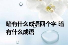 暗有什么成语四个字 暗有什么成语