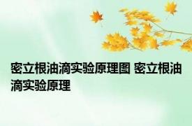 密立根油滴实验原理图 密立根油滴实验原理