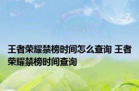 王者荣耀禁榜时间怎么查询 王者荣耀禁榜时间查询 