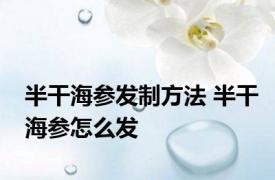 半干海参发制方法 半干海参怎么发 