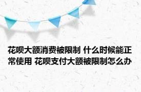 花呗大额消费被限制 什么时候能正常使用 花呗支付大额被限制怎么办