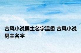 古风小说男主名字温柔 古风小说男主名字 