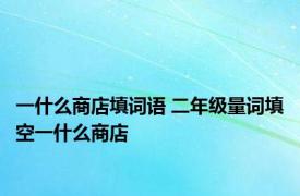 一什么商店填词语 二年级量词填空一什么商店