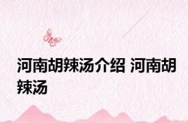 河南胡辣汤介绍 河南胡辣汤 