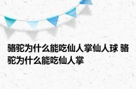 骆驼为什么能吃仙人掌仙人球 骆驼为什么能吃仙人掌 