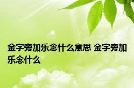 金字旁加乐念什么意思 金字旁加乐念什么 