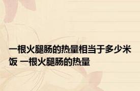 一根火腿肠的热量相当于多少米饭 一根火腿肠的热量 