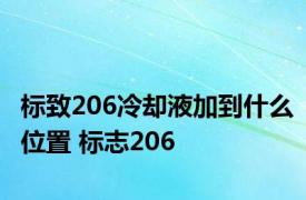 标致206冷却液加到什么位置 标志206 