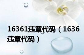 16361违章代码（1636违章代码）