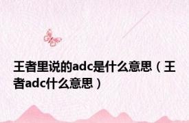 王者里说的adc是什么意思（王者adc什么意思）